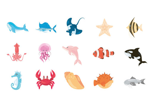 Colorful Sea Life Ocean Animals Cute Illustrations Set