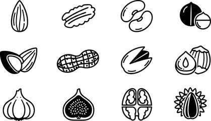 Collection of Minimalist Nut and Seed Vector Icons Including Almond Peanut Walnut Pistachio and Cashew for Healthy Food Ingredient Design