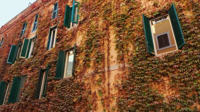 Picturesque buildings in the old town of Rome Italy, featuring red ivy 