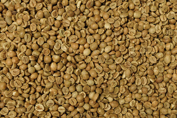 Fototapeta premium Top view of high-quality raw green coffee beans before the roasting process, showing natural texture and organic detail