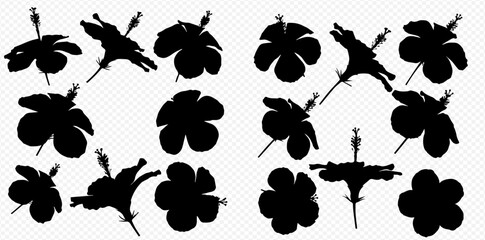 Collection of various hibiscus flower silhouettes in black on a white background. © Akun