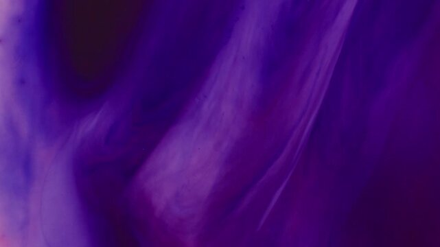 Whirlsh of Flowers: Abstract Art