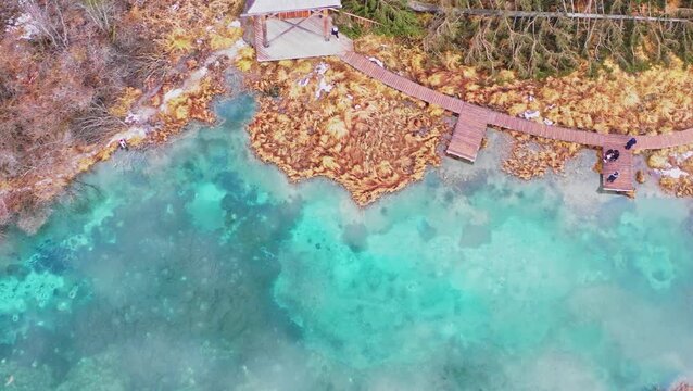 Top-down aerial view of Zelenci Springs boardwalk, Slovenia