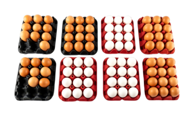 Various brown and white eggs in cartons arranged in neat rows, showcasing a selection of fresh poultry products ready for cooking and baking.