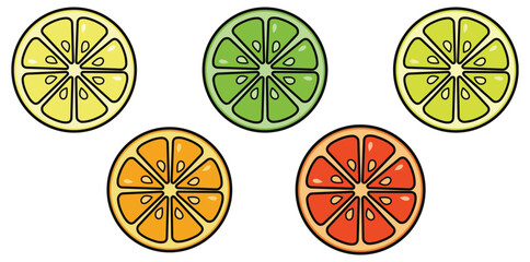 PrintSet of colorful citrus fruit slices vector icons. Realistic lemon, lime, orange, and grapefruit cross-sections isolated on white background. Healthy organic food design elements for summer themes