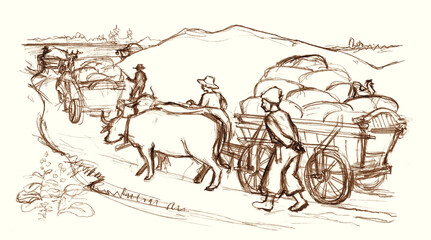 Sad poor guy trader wood trolley telega wheat hay crop bale bag. Hand drawn art boy kid age child go walk move horn dray bullock pull rustic oxcart dirty asian country grass nature way white sky scene