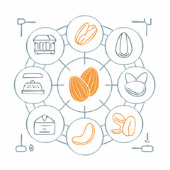 Cocoa beans and related products illustrated in a circular diagram showcasing various stages of chocolate production
