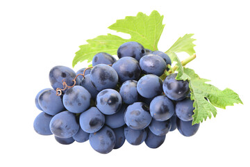 Bunch of grapes isolated on white