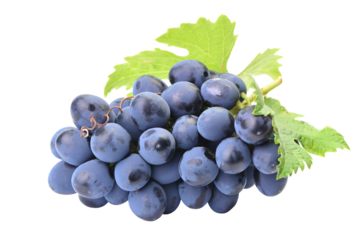 Bunch of grapes isolated on white