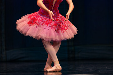 Closeup of ballerinas dancing on stage. © Ruslan