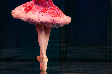Closeup of ballerinas dancing on stage. © Ruslan