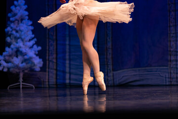 Closeup of ballerinas dancing on stage. © Ruslan