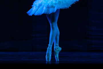 Closeup of ballerinas dancing on stage. © Ruslan