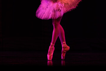 Closeup of ballerinas dancing on stage. © Ruslan