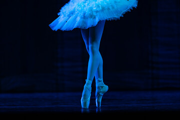 Closeup of ballerinas dancing on stage. © Ruslan