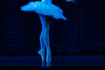 Closeup of ballerinas dancing on stage. © Ruslan