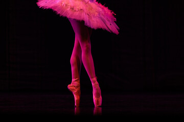 Closeup of ballerinas dancing on stage. © Ruslan