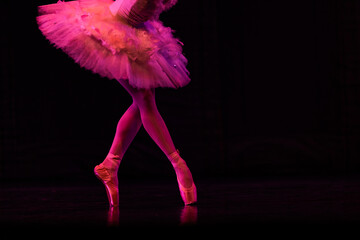 Closeup of ballerinas dancing on stage. © Ruslan