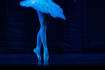 Closeup of ballerinas dancing on stage. © Ruslan