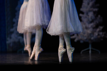 Closeup of ballerinas dancing on stage. © Ruslan