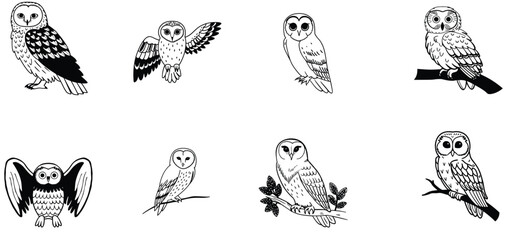 owl vector design with black silhouette and white background