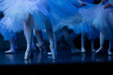 Closeup of ballerinas dancing on stage. © Ruslan