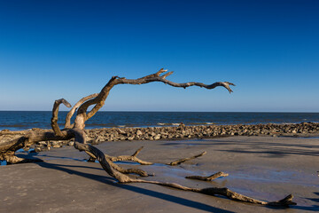 Jekyll Island along the Atlantic Coast of Georgia, United States