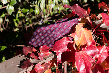 adjuntando, corbata, flor, indumentaria, moda, agiotaje, naturaleza, rojo, nudo, morada, estilo, beldad, accesorio, macro, zoom, hojas, floral