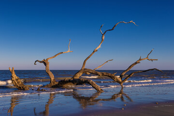 Jekyll Island along the Atlantic Coast of Georgia, United States