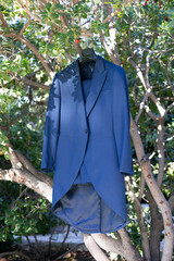 moda, indumentaria, beldad, modelaje, bosque, azul, chaqueta, traje, vestir