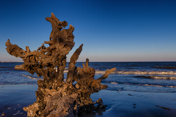 Jekyll Island along the Atlantic Coast of Georgia, United States