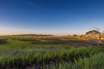 Jekyll Island along the Atlantic Coast of Georgia, United States