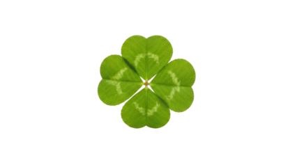 Four leaf clover with bright green leaves, cut out, stock png, isolated on transparent background