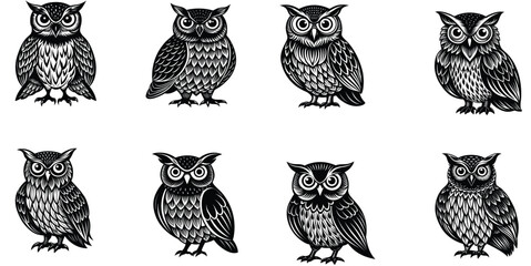 owl vector design with black silhouette and white background