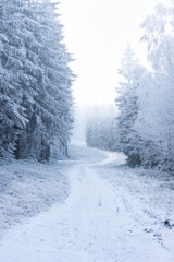 Fototapeta premium Snowy forest road in winter with frost-covered trees and misty atmosphere