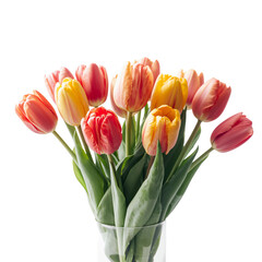 Naklejka premium Bright Tulips Arranged in a Clear Vase With Green Stems Under a Simple White Background