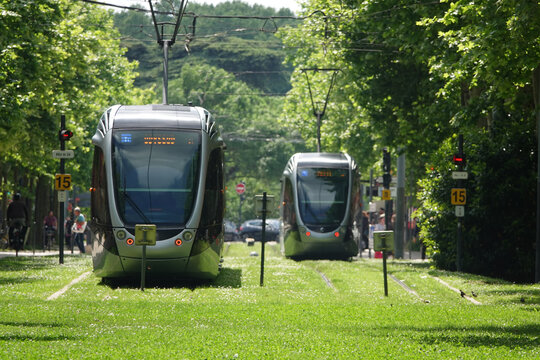 Two sleek trams glide silently on grassy tracks in Toulouse, France surrounded by lush trees.