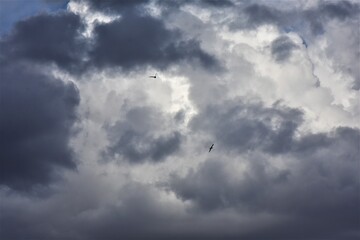 Obraz premium Cloudscape has been developing in gorgeous form. Colorful dramatic cloudscape