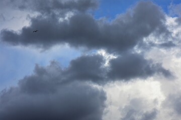 Cloudscape has been developing in gorgeous form. Colorful dramatic cloudscape