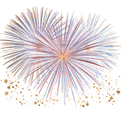 Naklejka premium Fireworks Display Lights up the Night Sky During Local Celebration Event
