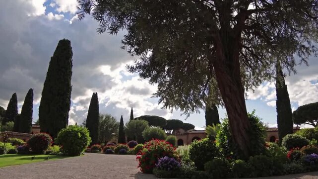 A tree with a lot of leaves is in the middle of a garden