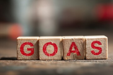 Building a clear path to success with startup goals and growth strategies for business development and planning