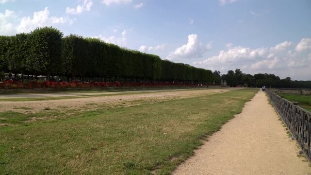 Rectangular shaped trees located in the front yard of the Saint Germain castle near Paris, France
