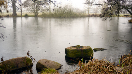 Winter nature landscape with frozen lake and leafless trees in fog. Cold misty morning by the water, bare branches reflected in ice, yet green bushes and shrubs adding contrast, quiet seasonal scenery