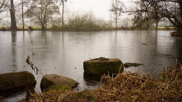 Winter nature landscape with frozen lake and leafless trees in fog. Cold misty morning by the water, bare branches reflected in ice, yet green bushes and shrubs adding contrast, quiet seasonal scenery - Powered by Adobe