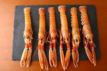 fresh red scampi as delicacy meditarrean sea food in costa brava