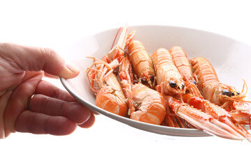 fresh red scampi as delicacy meditarrean sea food in costa brava