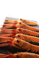 fresh red scampi as delicacy meditarrean sea food in costa brava