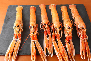 fresh red scampi as delicacy meditarrean sea food in costa brava
