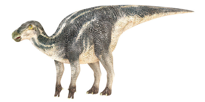Realistic illustration of the Hadrosaurus dinosaur.